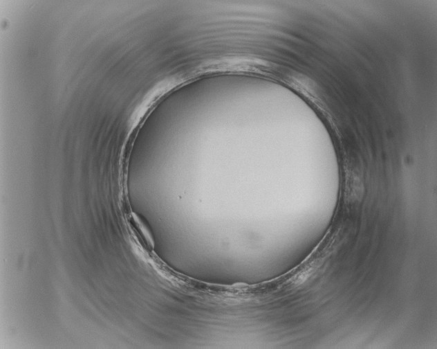 X0000053090994200508012028