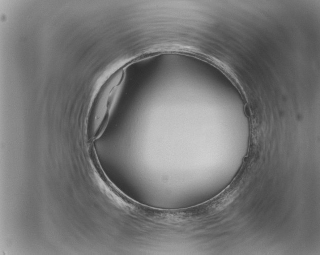 X0000053090995200508012028