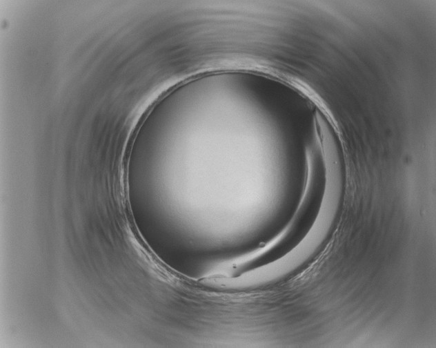 X0000053090996200508012028