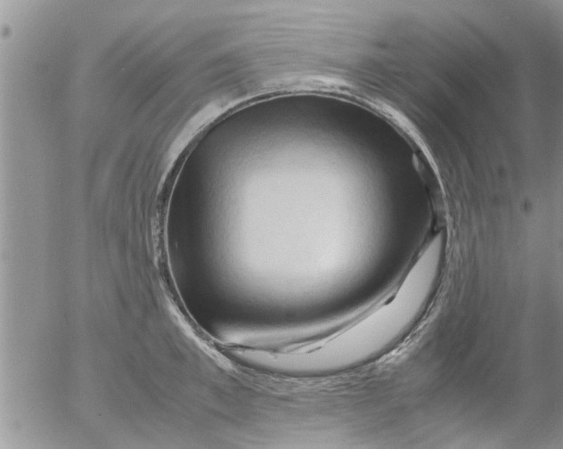 X0000053090997200508012028