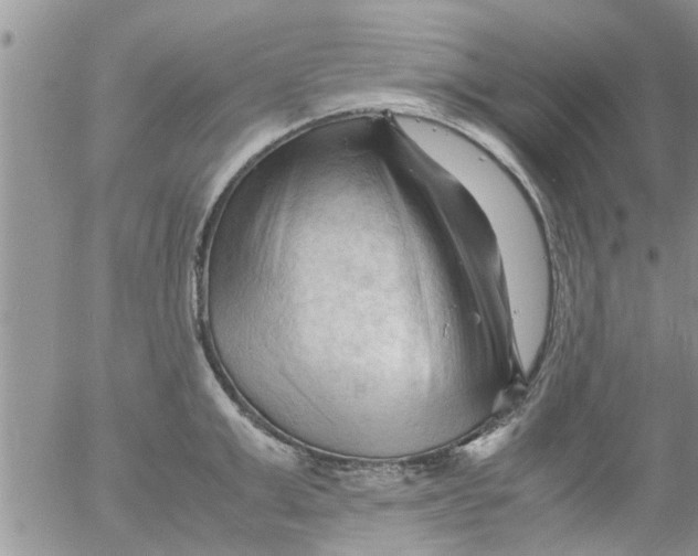 X0000053090999200508012027