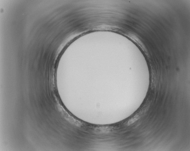 X0000053091000200508012027