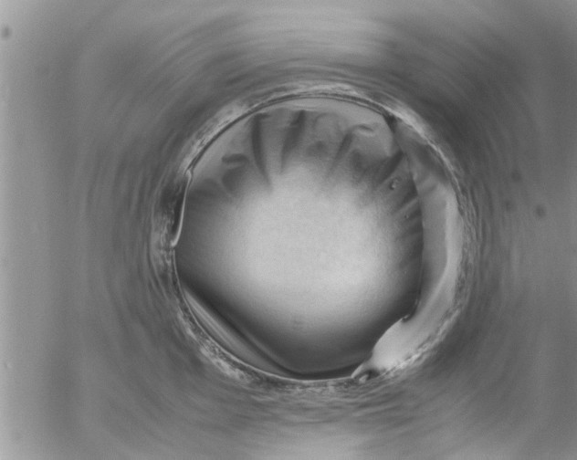 X0000053091001200508012027