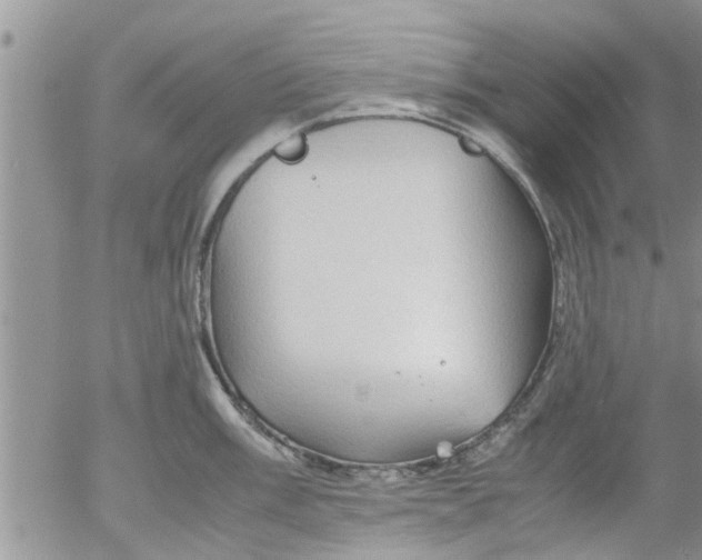 X0000053091003200508012027