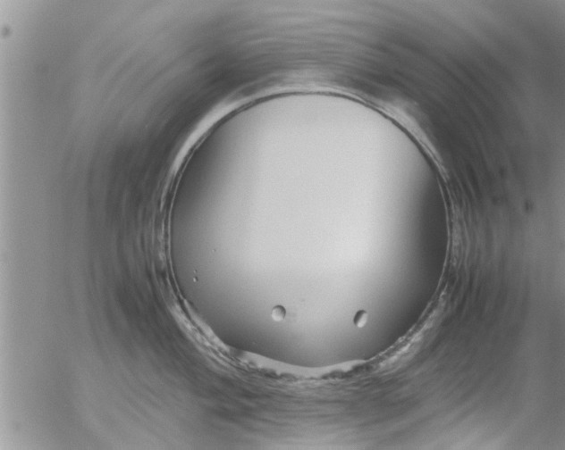 X0000053091004200508012027