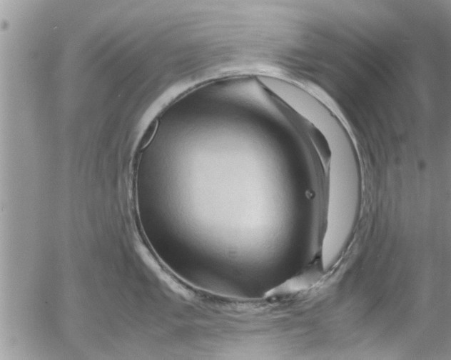 X0000053091005200508012027