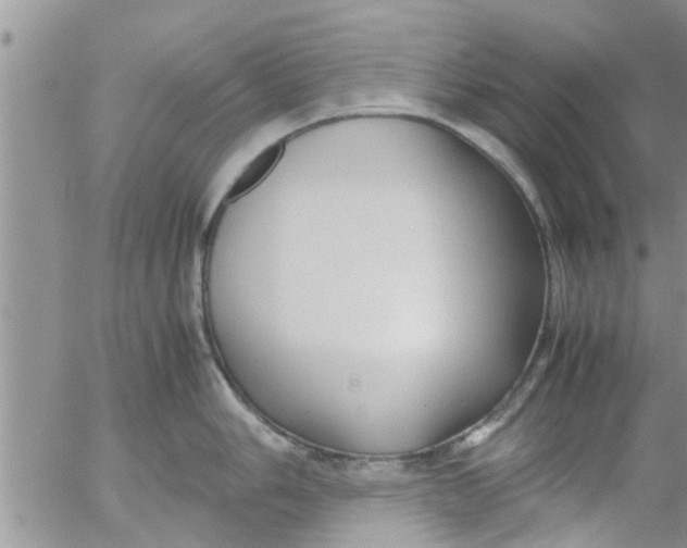 X0000053091006200508012027