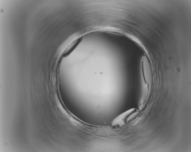 X0000053091007200508012027