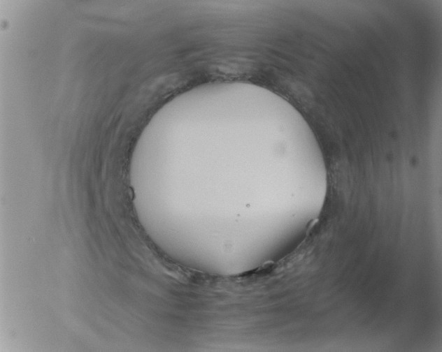 X0000053091009200508012026