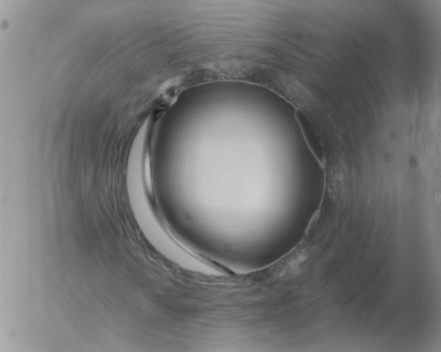 X0000053091010200508012027