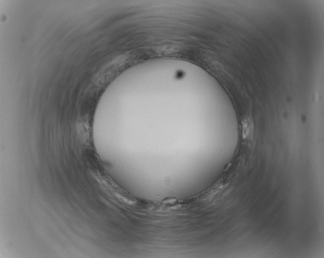 X0000053091011200508012027