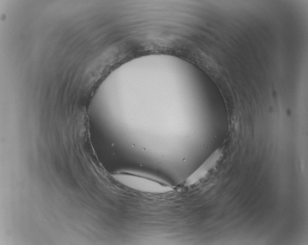 X0000053091012200508012027