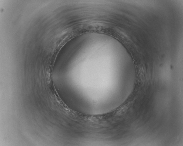 X0000053091013200508012027