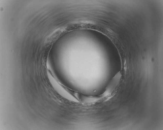 X0000053091014200508012027