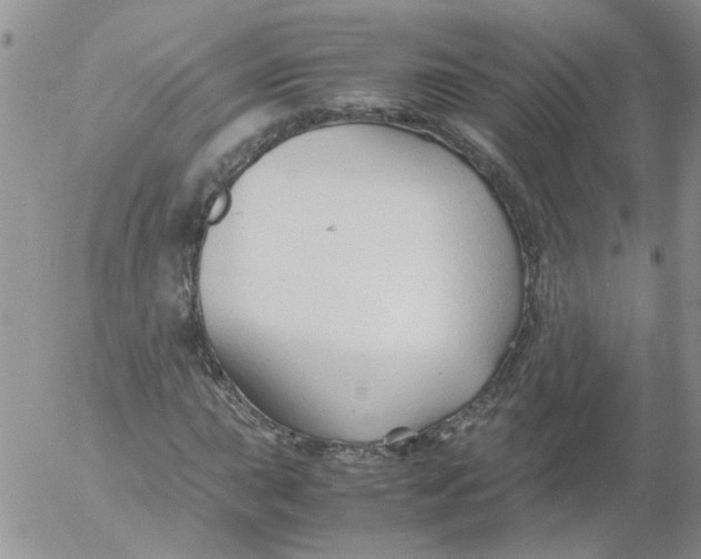 X0000053091015200508012027