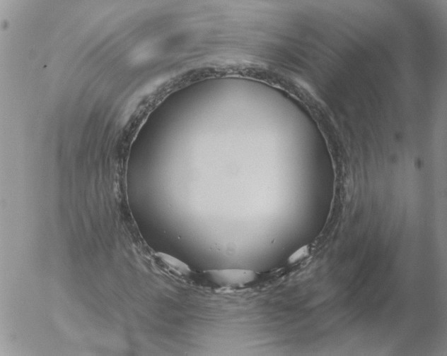 X0000053091016200508012027