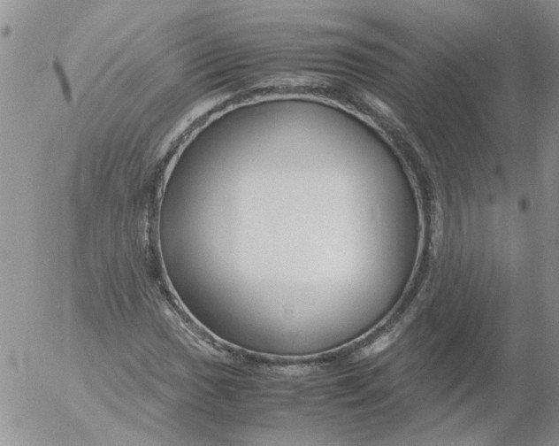 X0000053091017200508012027