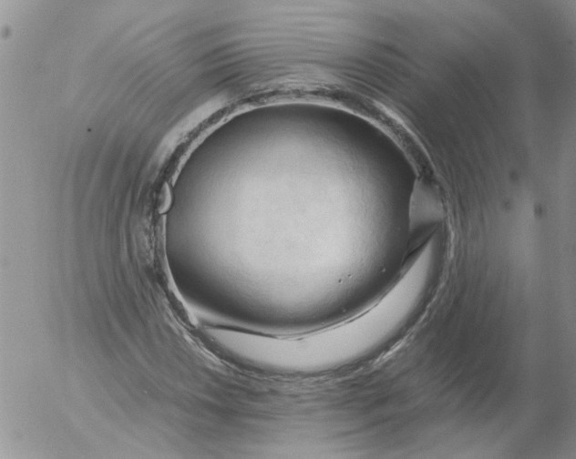 X0000053091018200508012027