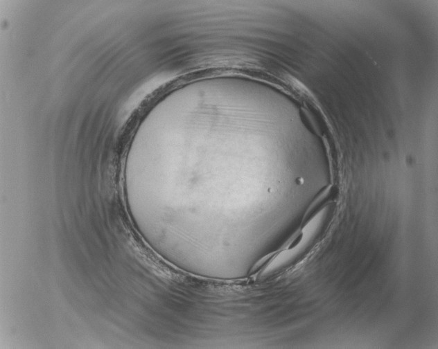 X0000053091019200508012027