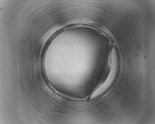 X0000053091020200508012027