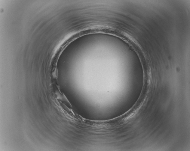 X0000053091021200508012027