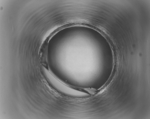 X0000053091022200508012027