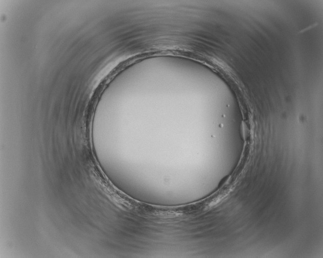 X0000053091023200508012027