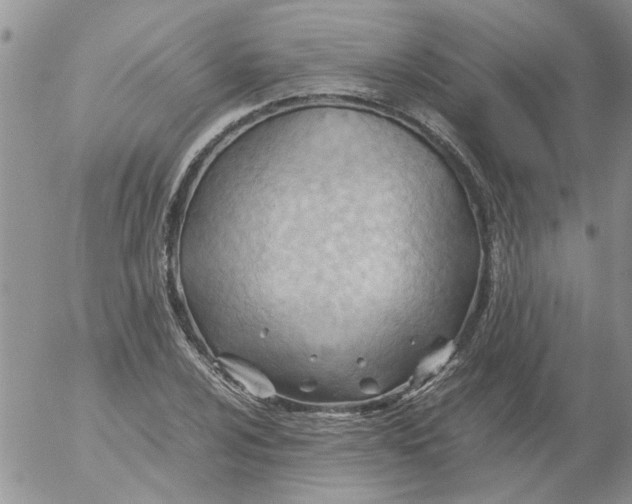 X0000053091024200508012027