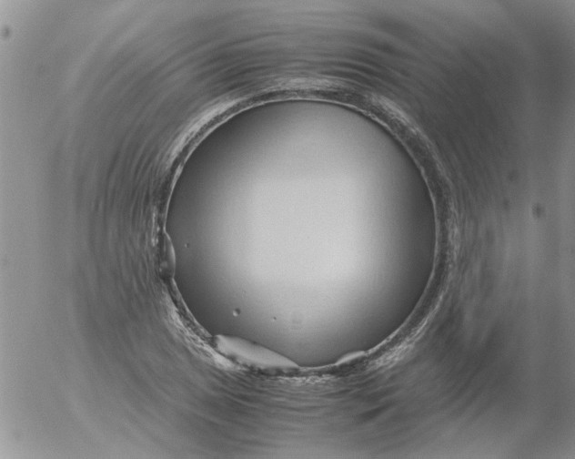 X0000053091025200508012027