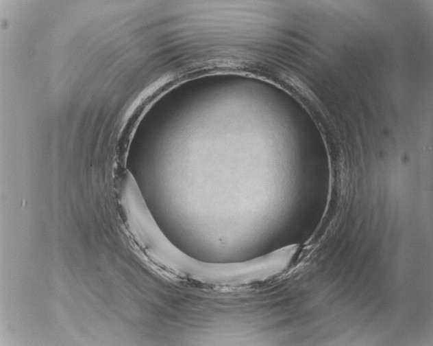 X0000053091026200508012027