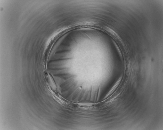 X0000053091027200508012027