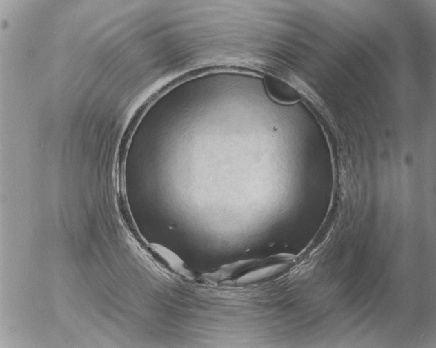 X0000053091028200508012027