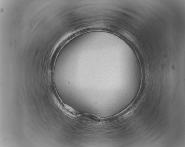 X0000053091029200508012027