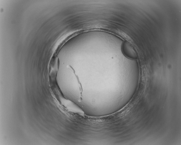 X0000053091031200508012027