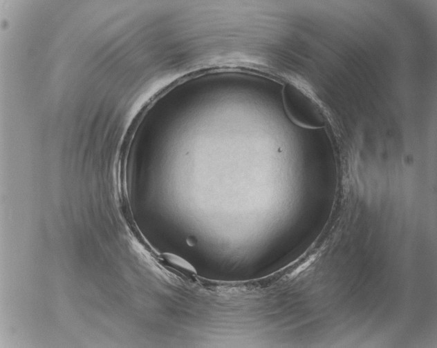 X0000053091032200508012027