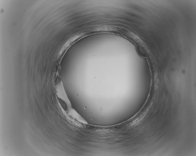 X0000053091033200508012027