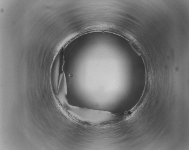 X0000053091034200508012027