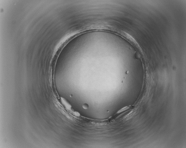 X0000053091035200508012027