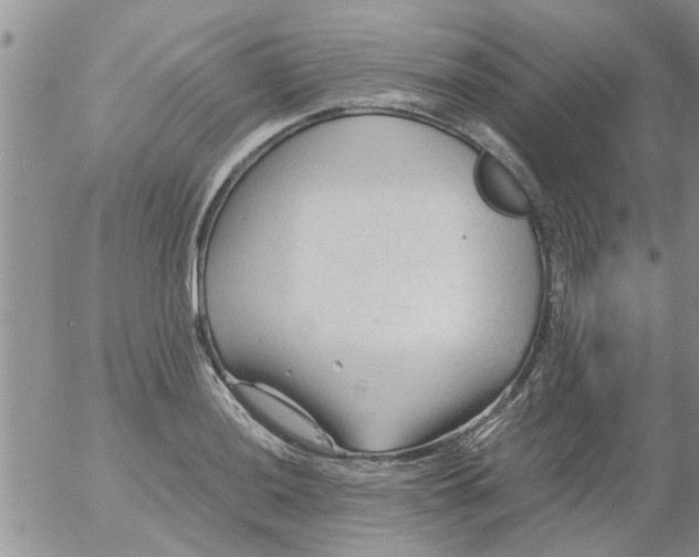 X0000053091036200508012027