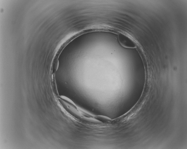 X0000053091037200508012027