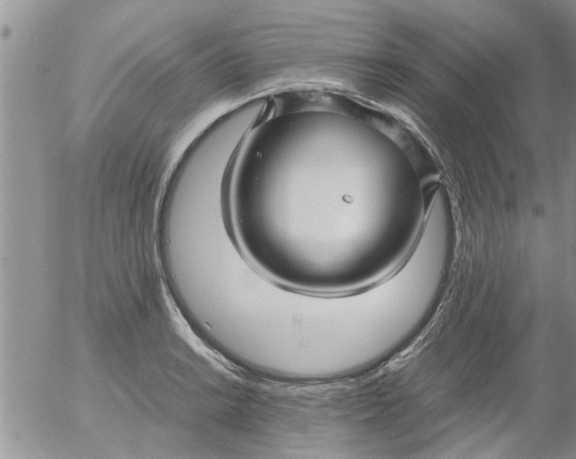 X0000053091038200508012027