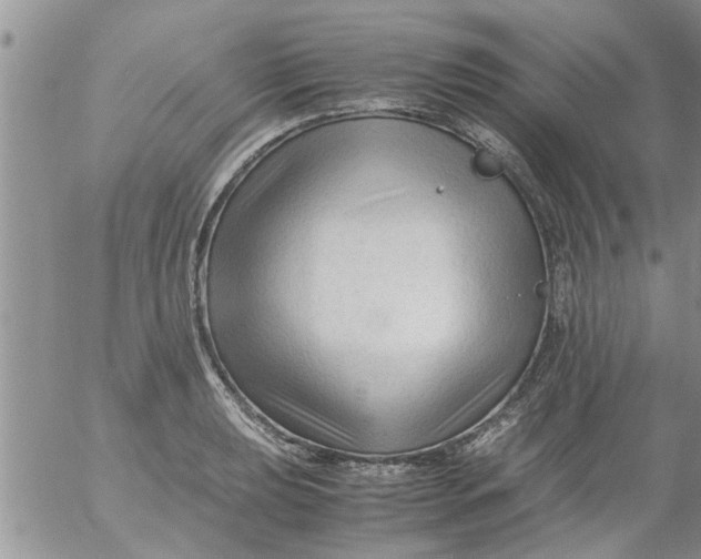 X0000053091039200508012027