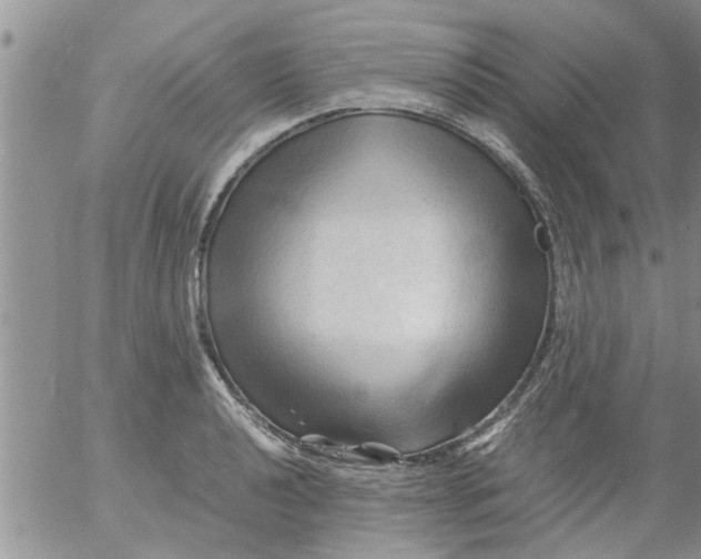 X0000053091040200508012027