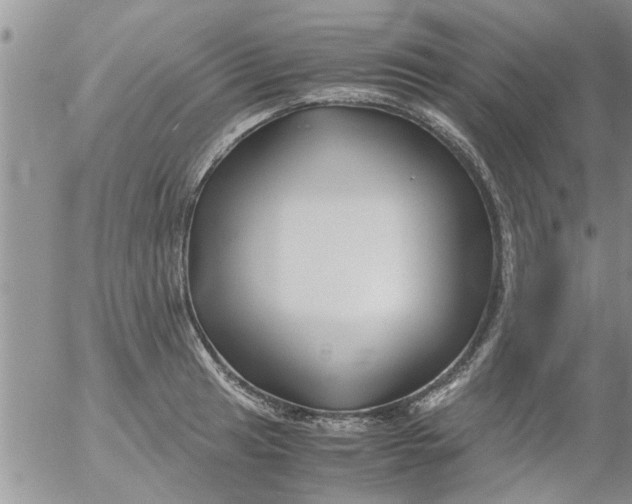 X0000053091041200508012027