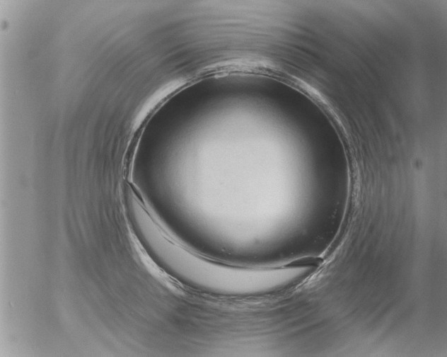 X0000053091042200508012027