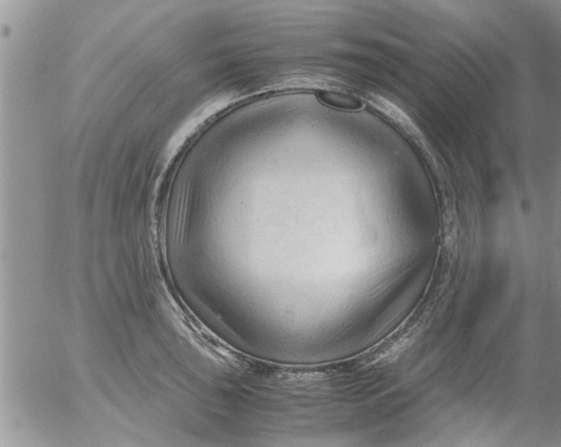 X0000053091043200508012027