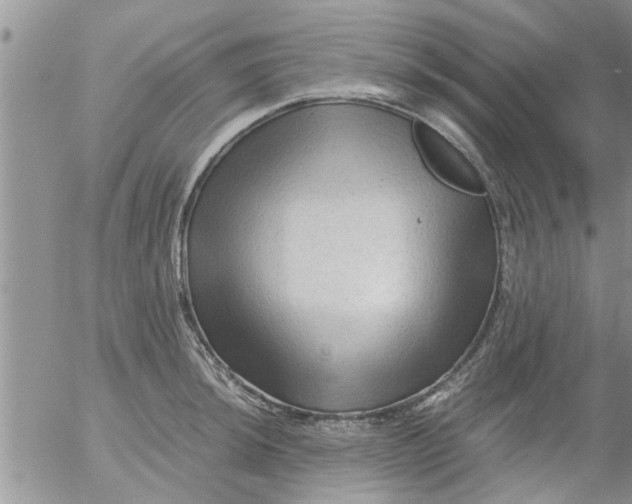 X0000053091044200508012027