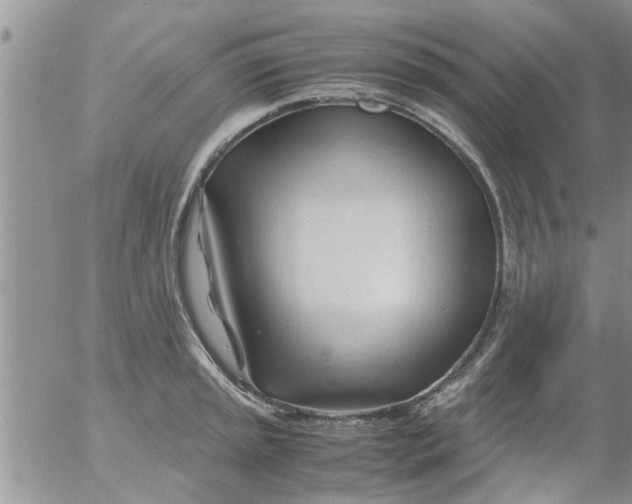 X0000053091045200508012027