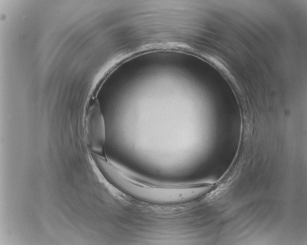 X0000053091046200508012027