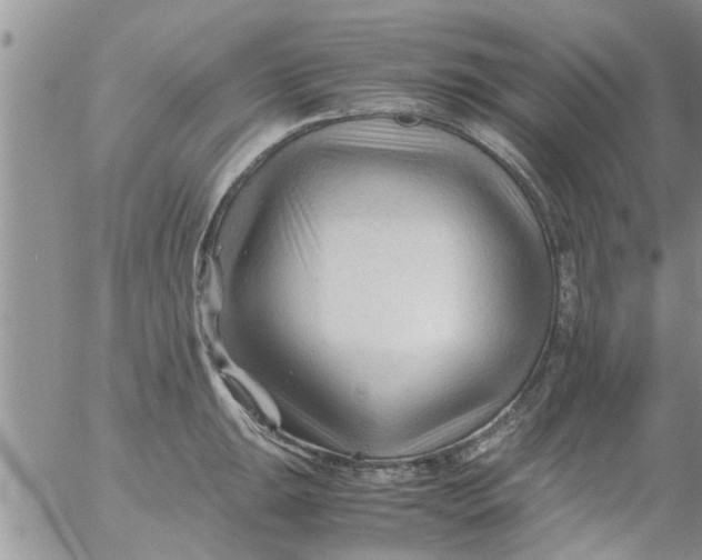 X0000053091047200508012027